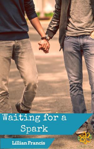 Cover of the book Waiting for a Spark by Diana K. J. Demona