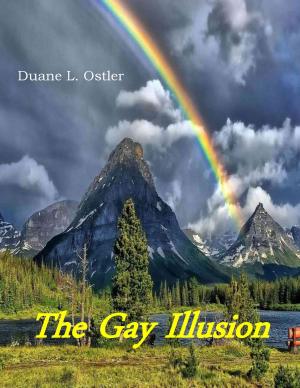 Book cover of The Gay Illusion