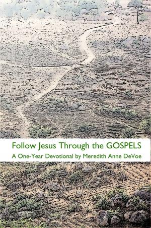 Cover of the book Follow Jesus Through the Gospels: A One-Year Devotional by Ptolemy Tompkins