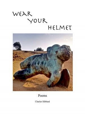 Book cover of Wear Your Helmet