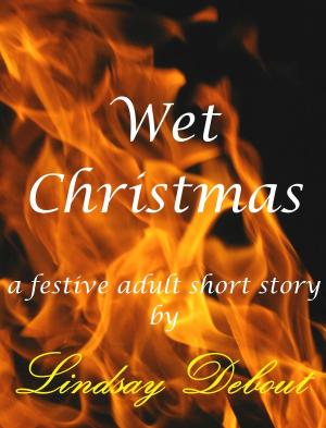 Book cover of Wet Christmas