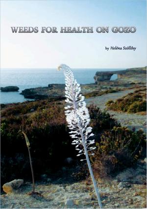 Cover of the book Weeds For Health On Gozo by Bethany Patchin