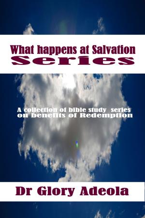 Cover of the book What Happens at Salvation Series by Shawn Spjut