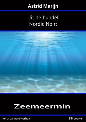 Cover of the book Nordic Noir, de zeemeermin by David A. Mallach