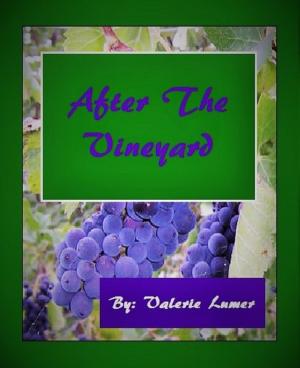 bigCover of the book After The Vineyard by 