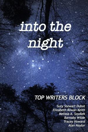 Cover of the book Into the Night by Top Writers Block, Cleve Sylcox, Barnaby Wilde, Suzy Stewart Dubot, Tracey Howard, Melissa Szydlek, Elizabeth Rowan Keith