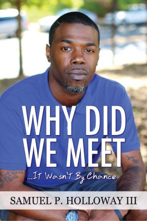 Cover of the book Why Did We Meet? ... It Wasn't By Chance by Salim Ghauri