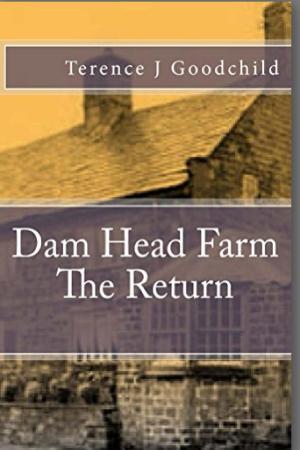 Cover of the book Dam Head Farm (The Return) by Brett Halliday