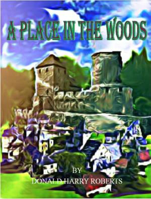 Book cover of A Place In The Woods