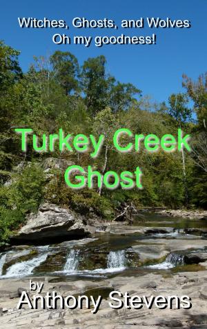 Book cover of Turkey Creek Ghost