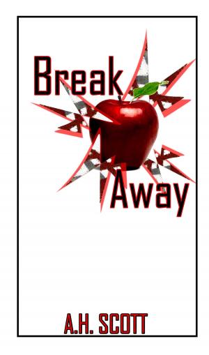 Book cover of Break Away