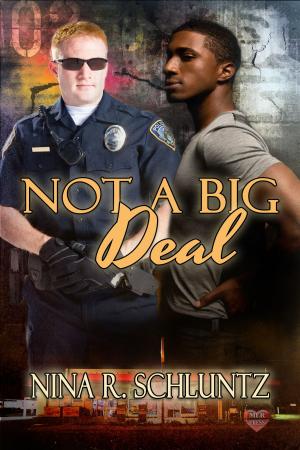Cover of the book Not A Big Deal by Emma Berkeley