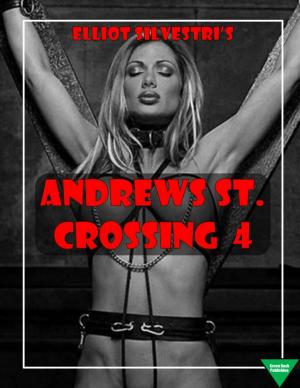 Cover of the book Andrews St. Crossing 4 by Elliot Silvestri