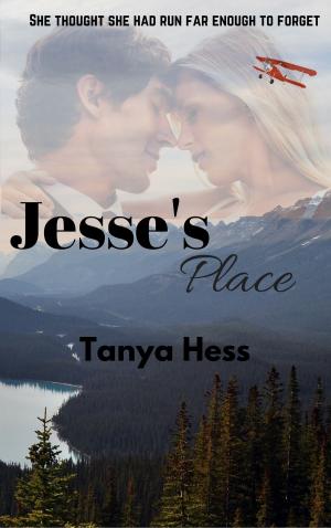 Cover of the book Jesse's Place by B. D. Anderson