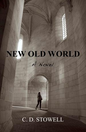Cover of the book New Old World by Aubree Lane