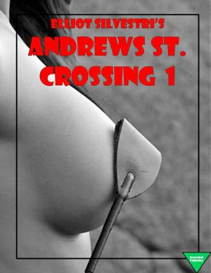 Cover of the book Andrews St. Crossing 1 by Pandorica Bleu