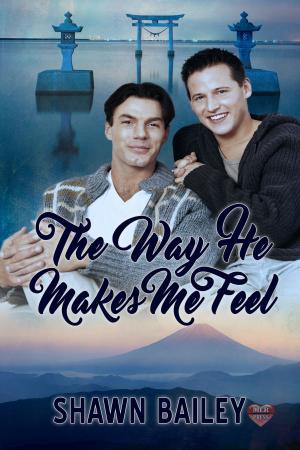 Cover of the book The Way He Makes Me Feel by A.J. Gillett