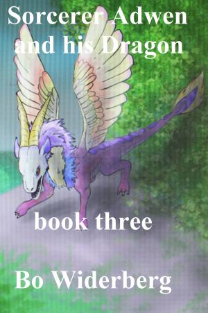 Cover of Sorcerer Adwen and His Dragon, Book Three
