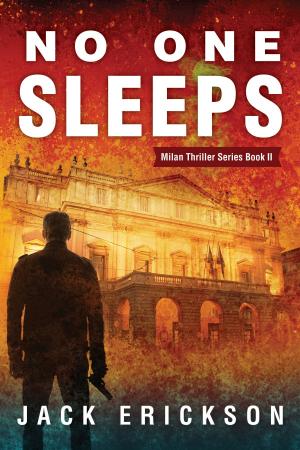 Cover of the book No One Sleeps by Steven Luciw