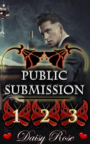 Cover of the book Public Submission 1: 3 by Malory Chambers