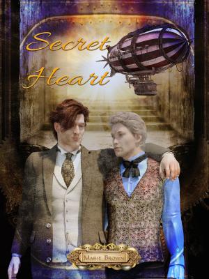 Cover of the book Secret Heart by Stephen B5 Jones
