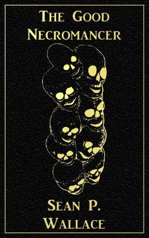 Book cover of The Good Necromancer