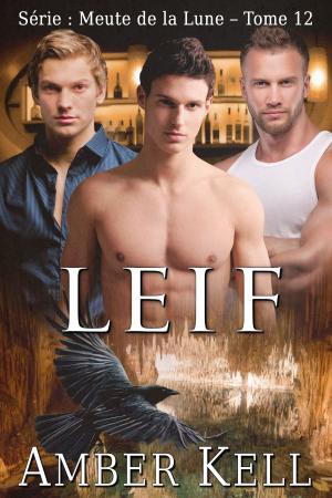 bigCover of the book Leif by 