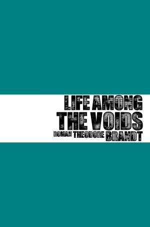 Cover of Life Among the Voids