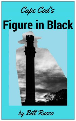 Book cover of Cape Cod's Figure in Black