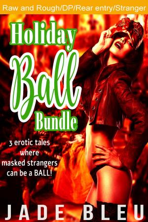 Cover of Holiday Ball Bundle