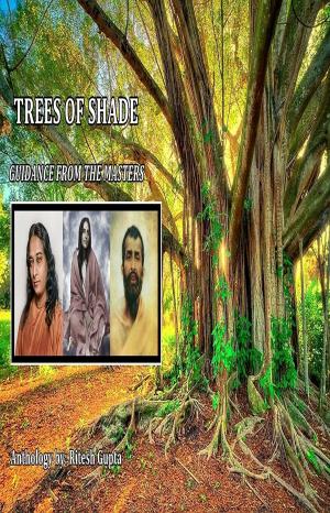 Cover of Trees of Shade: A Spiritual Collection