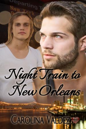Cover of the book Night Train to New Orleans by John Wiltshire