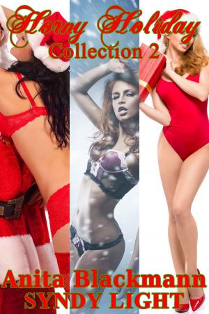 bigCover of the book Horny Holiday Collection 2 by 