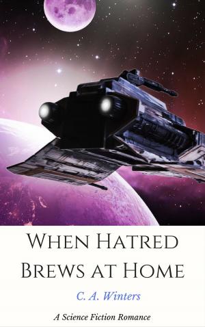 Cover of the book When Hatred Brews at Home by Mistress Evelyn, Stephanie McAdams