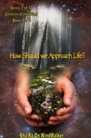 Cover of the book How Should We Approach Life by L. Cameron Mosher, Ph.D.