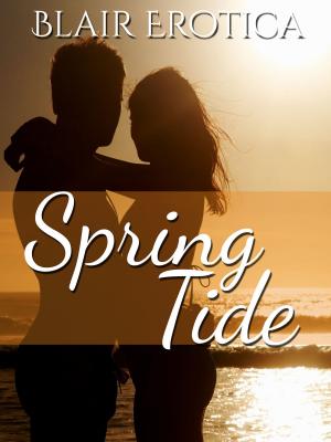 Cover of the book Spring Tide by Daniella Cerveny