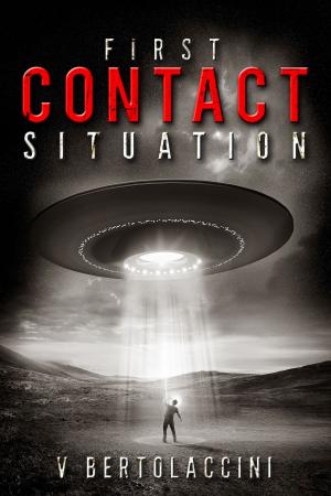 Cover of the book First Contact Situation by V Bertolaccini