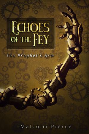 Cover of the book Echoes of the Fey: The Prophet's Arm by Barry Silverstein