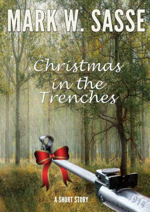 Cover of the book Christmas in the Trenches, 1914: A Short Story by Jorge Lucendo