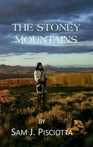 Cover of the book The Stoney Mountains by T. P. M. Thorne