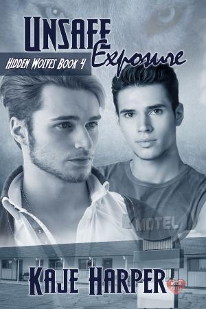 Cover of the book Unsafe Exposure by Shawn Bailey