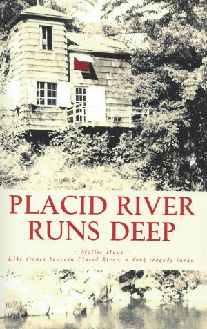 Cover of the book Placid River Runs Deep by Stephen Booth