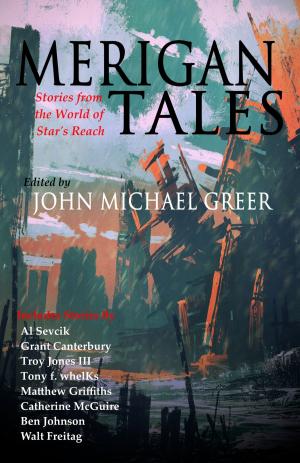 Book cover of Merigan Tales: Stories from the World of Star's Reach