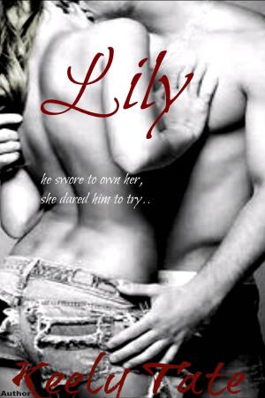 Book cover of Lily: The Brothers(Book 2)