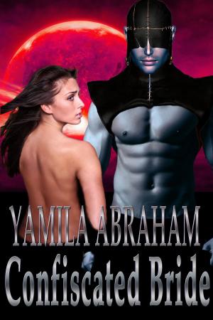 Cover of the book Confiscated Bride by Yamila Abraham