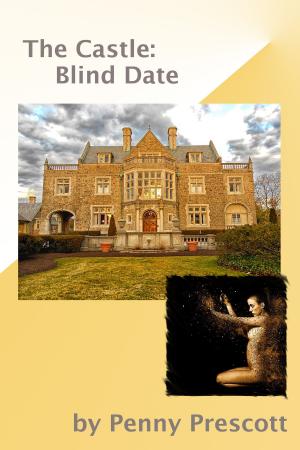Cover of the book The Castle: Blind Date by Sue Lyndon