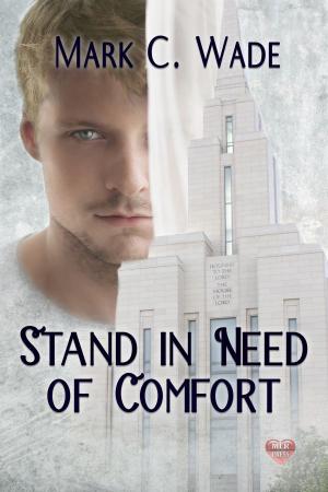 Cover of the book Stand in Need of Comfort by Neschka Angel
