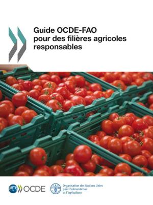 Book cover of Guide OCDE-FAO pour des filières agricoles responsables