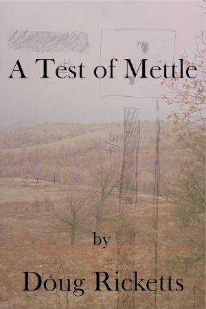 Cover of the book A Test of Mettle by Tuomas Vainio