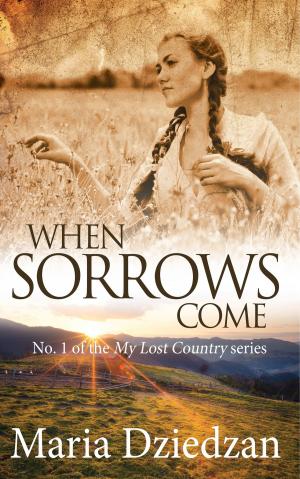 Cover of the book When Sorrows Come by Erica Ridley